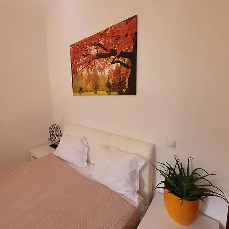 Apartment Anastasia Balcescu 4 Self Check In Code From 2pm Kitchen And Bedroom *